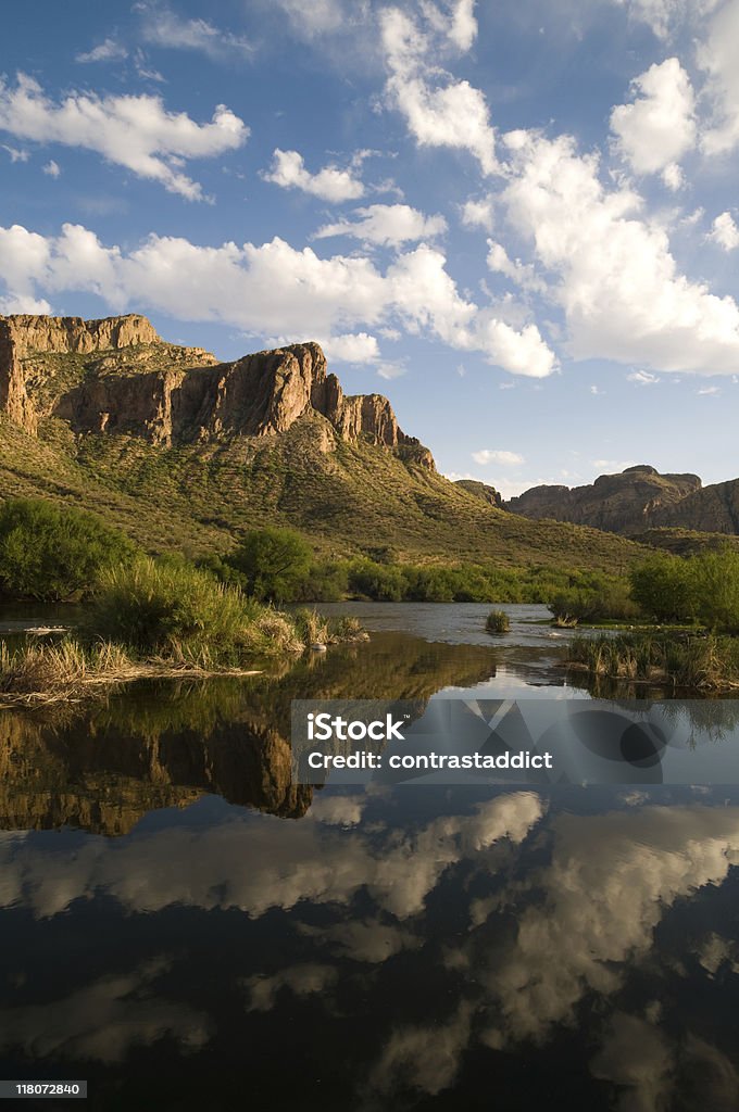 Salt River Arizona - Foto de stock de Aislado libre de derechos