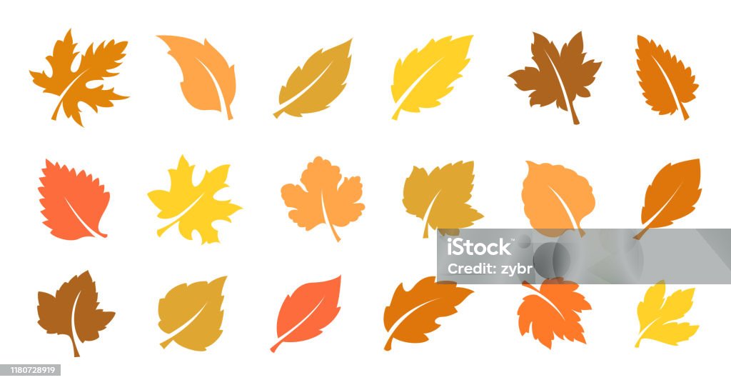 Autumn leaves set - Royalty-free Folha arte vetorial