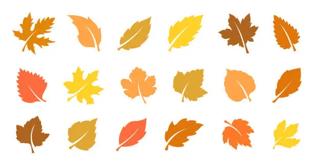 Vector illustration of Autumn leaves set