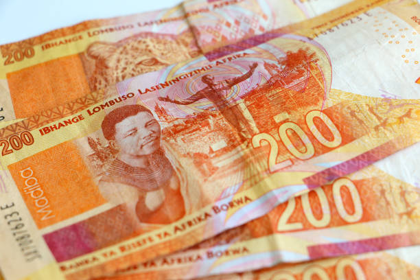 южноафриканские деньги, двести рандов отмечает - leopard 2 стоковые фото и изображения