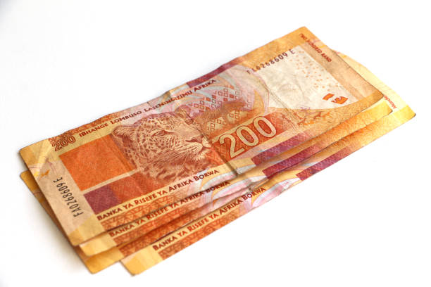 южноафриканские деньги, двести рандов отмечает - leopard 2 стоковые фото и изображения