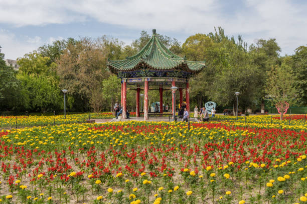 il parco del popolo, urumqi. cina - peoples park foto e immagini stock