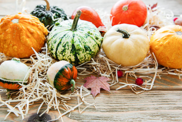 istock Pumpkins on a wooden table 1180732730
