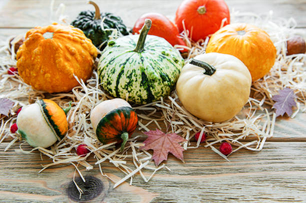 istock Pumpkins on a wooden table 1180732754