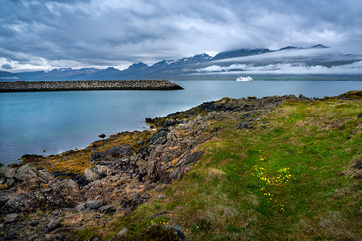 The white cruise ship enters the Icelandic port in the fjord. Western Iceland