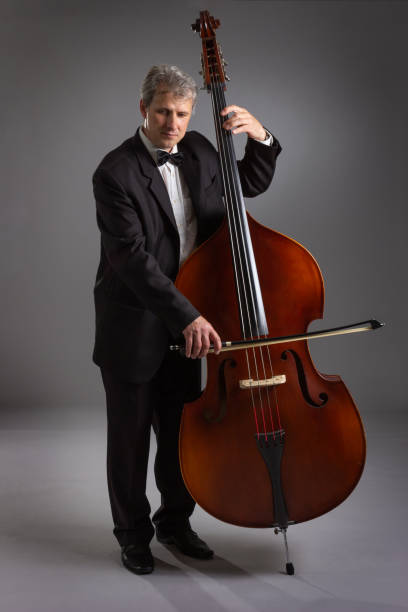 A man with a double bass on a gray background. stock photo