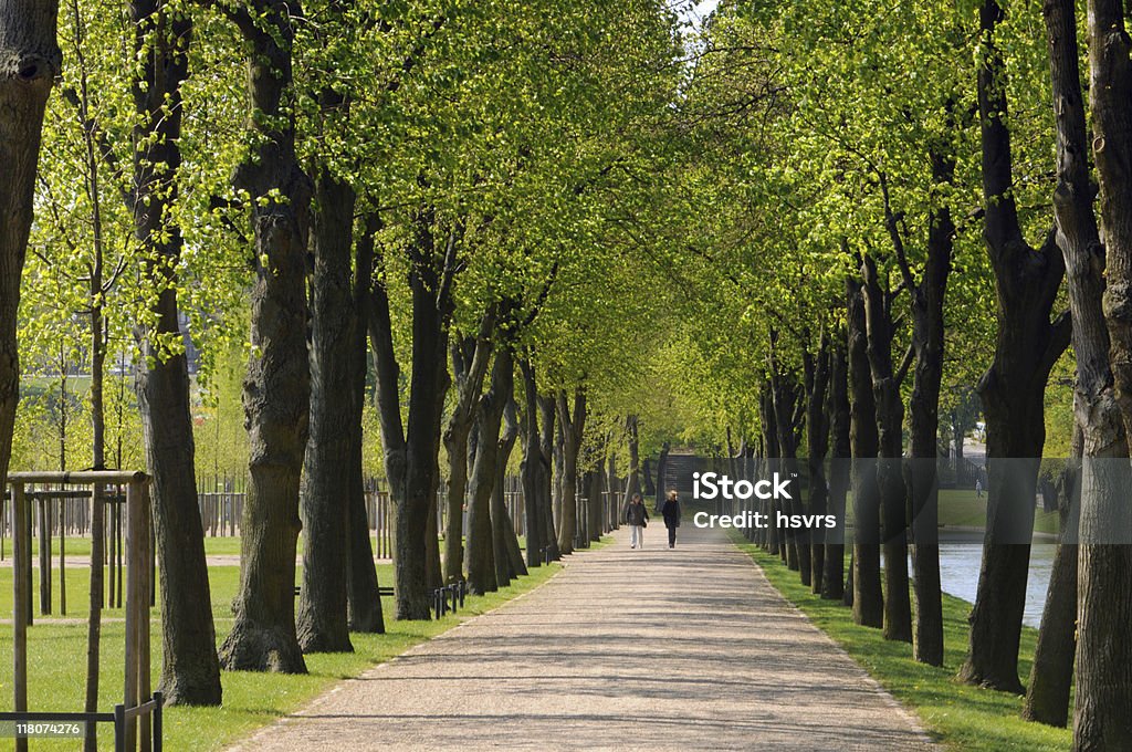 Boulevard a Schwerin (Germania - Foto stock royalty-free di Boulevard