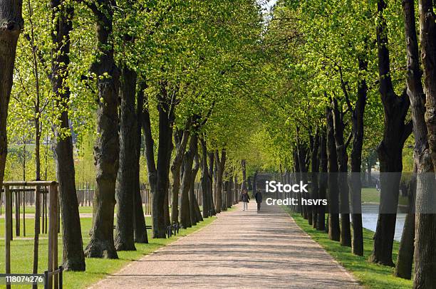 Boulevard A Schwerin Germania - Fotografie stock e altre immagini di Boulevard - Boulevard, Città, Tiglio americano