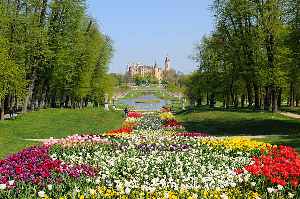 tulips and Schwerin(Germany)  schwerin castle stock pictures, royalty-free photos & images