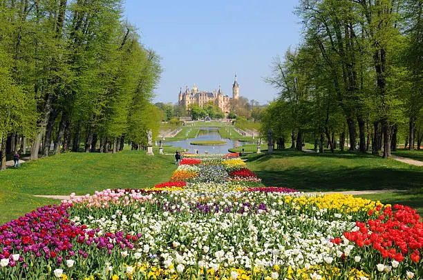 Photo of tulips and Schwerin(Germany)