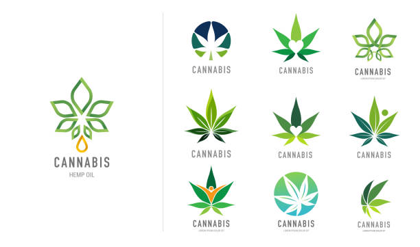 Cannabis leaf, medical marijuana, CBD oil, symbol and logo. Vector design Cannabis leaf, medical marijuana, CBD oil, symbol and logo. Vector design hemp stock illustrations