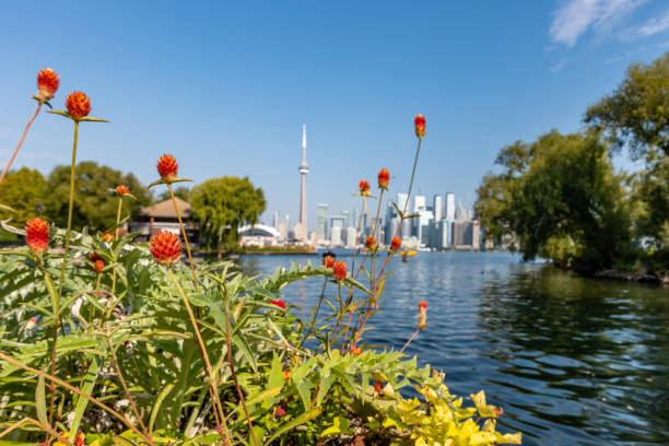 istock Toronto skyline seen from Toronto Islands across the harbour 1180757939