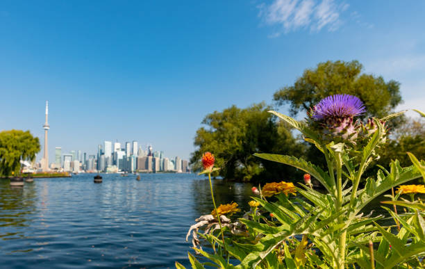 istock Toronto skyline seen from Toronto Islands across the harbour 1180757975