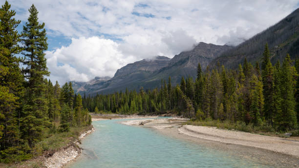 istock Kootenay National Park, British Columbia, Canada 1180758377