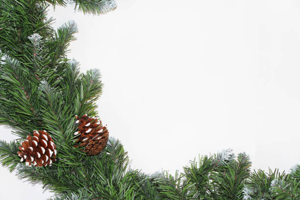 istock artificial garland in the form of Christmas tree branches on white background 1180760518