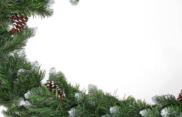 istock artificial garland in the form of Christmas tree branches on white background 1180760580