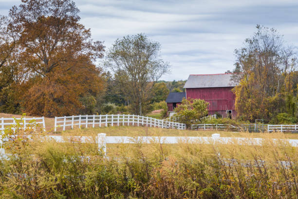 istock Red barn surrounded by colorful fall foliage lined with white picket fence 1180760612