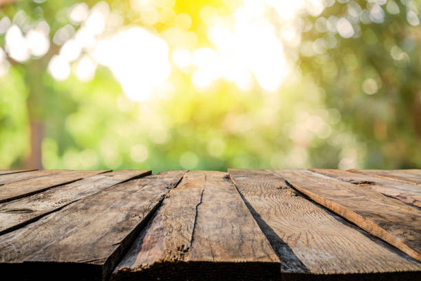 arrière-plans : table en bois vide avec feuillage luxuriant jaunâtre défocalisé à l'arrière-plan - natural woods photos et images de collection