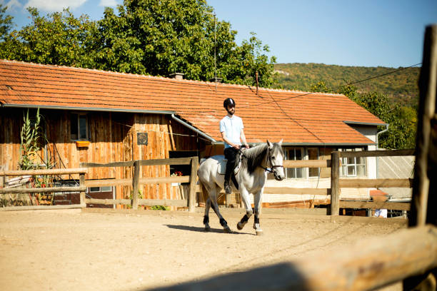 istock Young man riding a horse 1180762303