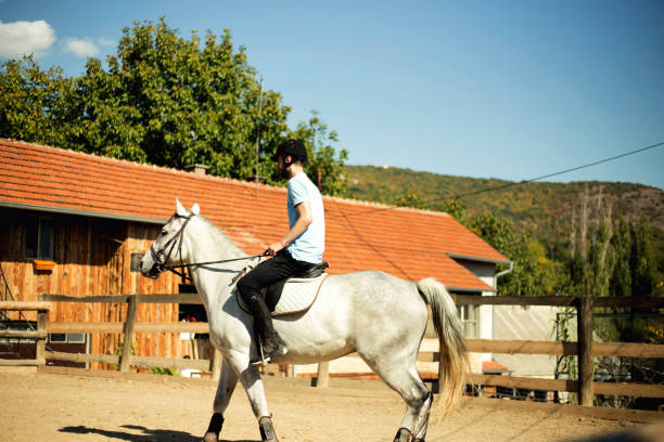 istock Young man riding a horse 1180763206