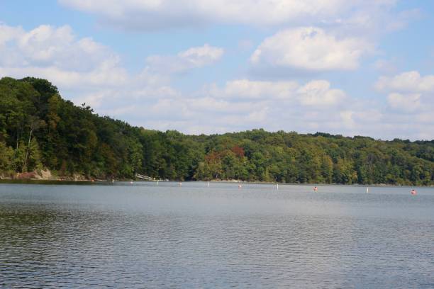 istock Beautiful Lake in the Countryside 1180764628