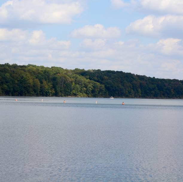 istock Calm Lake at the Park 1180764630