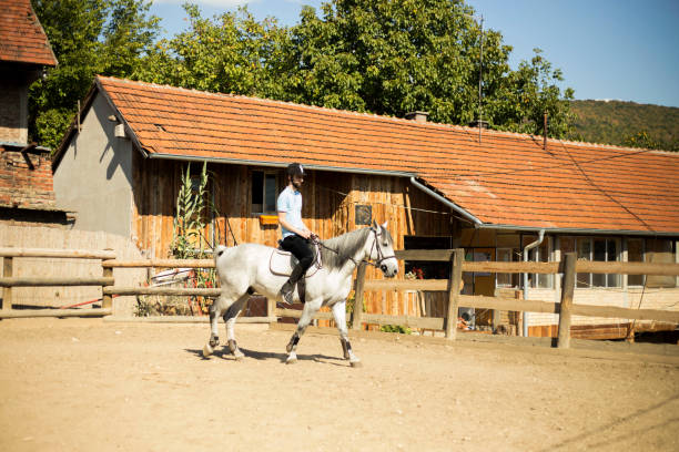 istock Young man riding a horse 1180764688