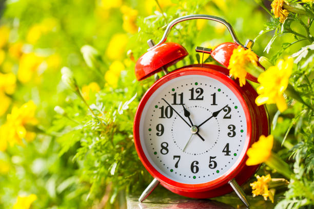 istock Spring Time Change Concepts. Summer back concept. Vintage Red Alarm Clock in A Garden 1180771658
