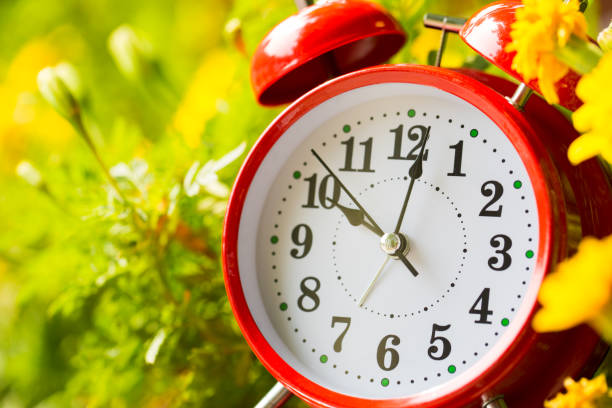 istock Spring Time Change Concepts. Summer back concept. Vintage Red Alarm Clock in A Garden 1180772243