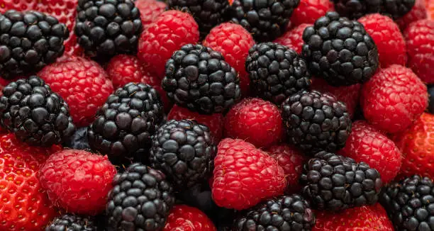 Berry background. Blackberries, raspberries and strawberries close-up, macro. Food background. Sweet fresh ripe berries mix. Berry pattern and texture.