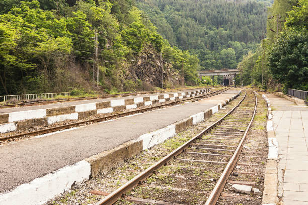 istock Railway line that continues in the tunnel 1180776138