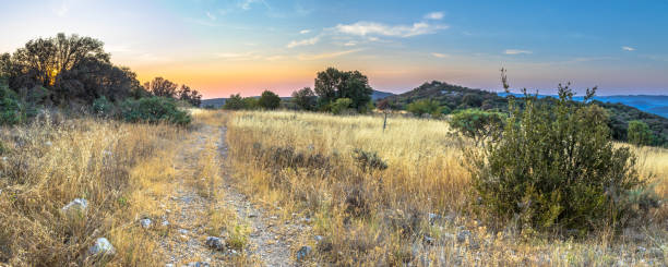 istock Summer landscape panorama on hilltop in Cevennes National Par 1180776236