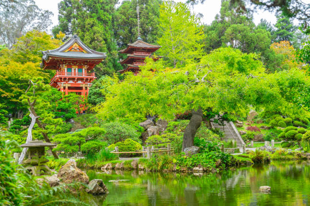 istock Iconic Japanese Tea Garden in Golden Gate Park. 1180779749