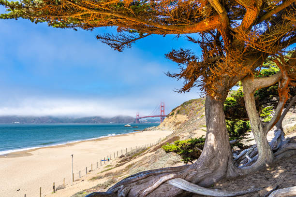 istock View of Golden Gate Bridge from the beach. 1180780433