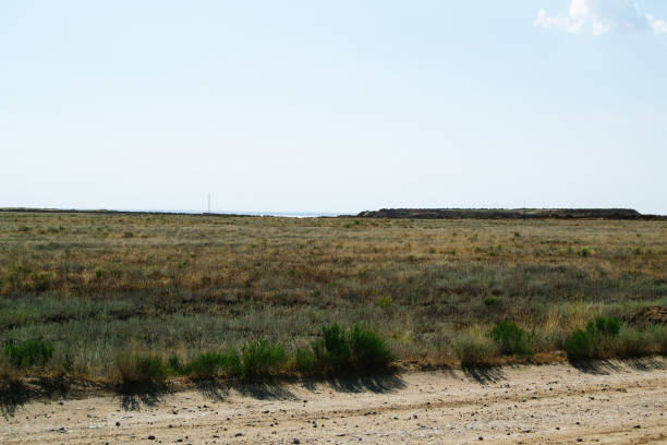 istock Steppe landscape. Lonely green plants on dry, hot sand 1180781437