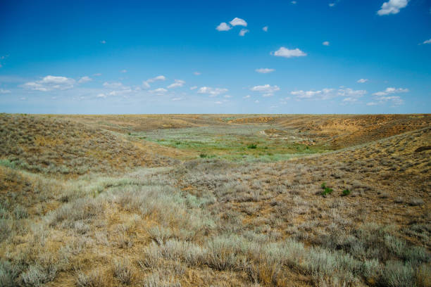 Distant hills. Hilly steppe. Curvy hills. Blue sky and grass. Beautiful plain. Sunny day and hills. Lowland. Hilly horizon.