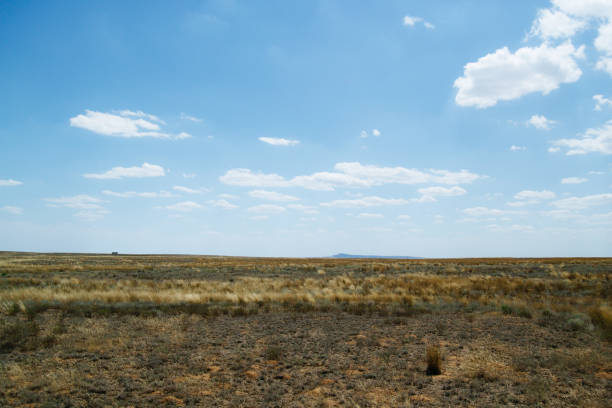istock Steppe landscape. Lonely green plants on dry, hot sand 1180781527