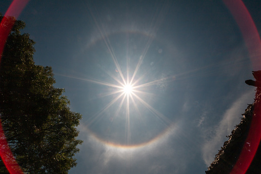 sun Halo (optical phenomenon) with tree
