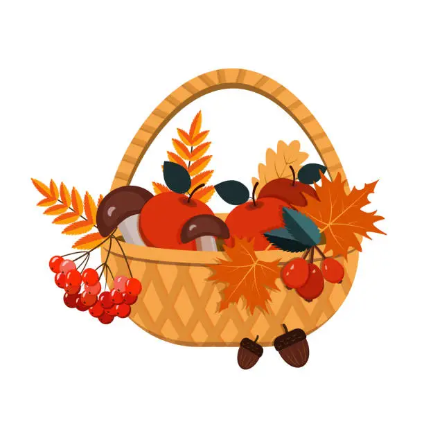 Vector illustration of wicker basket with leaves, mushrooms, berries, apples.