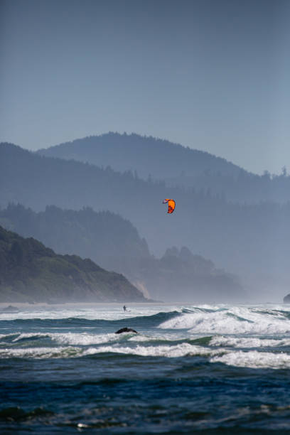 istock Kite surfing on the Oregon coast 1180785128