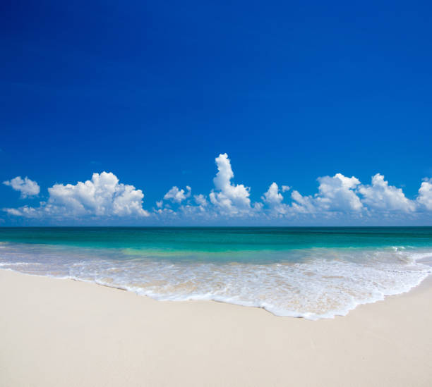 istock sand of beach caribbean sea 1180787113
