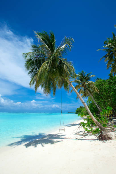 istock tropical beach in Maldives with blue lagoon 1180787123