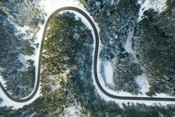 istock beautiful winter forest and the road 1180787645