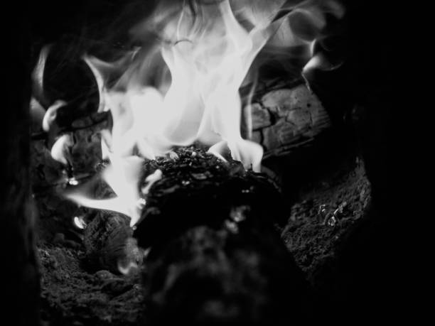 Black and white fire flame burning wood in stove