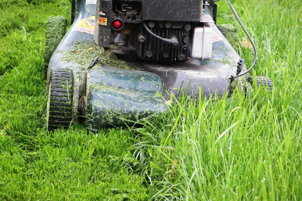Clsoeup of a lawnmower cutting tall grass.