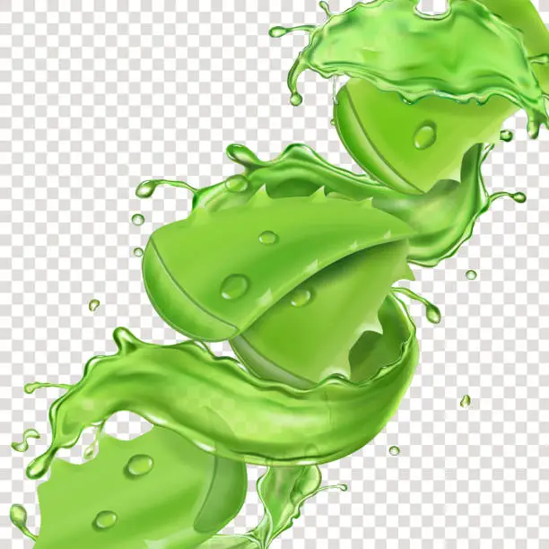 Vector illustration of Aloe vera in green juice splash isolated realistic vector icon illustration