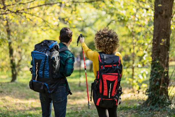 istock Happy couple is hiking in forest. 1180795805