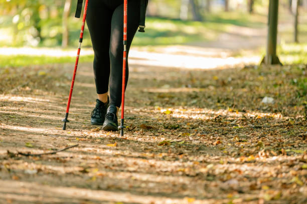 istock Woman with backpack walking in forest at autumn. 1180797427
