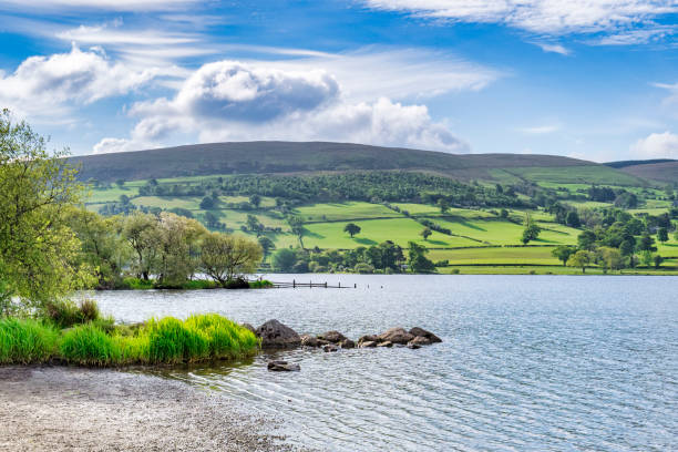 Bala Lake, North Wales, UK The head of Bala Lake, Llyn Tegid, in North Wales, on a fine spring evening. gwynedd photos stock pictures, royalty-free photos & images