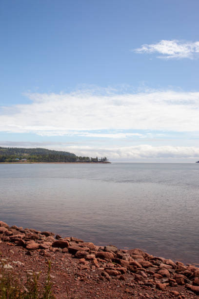 istock vertical view of rocky shoreline 1180798795